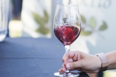 Barbera85