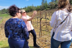 behind-cellar-door-amador-vineyard-winery-tour