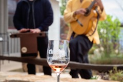 behind-cellar-door-amador-wine-tasting-music-2