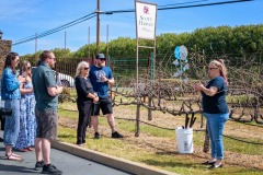 behind-cellar-door-amador-wine-tasting-pruning