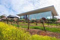 behind-cellar-door-amador-wine-tasting-spring-3