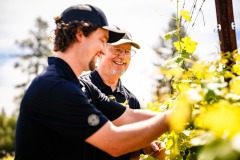 amador-events-big-crush-wine-grapes
