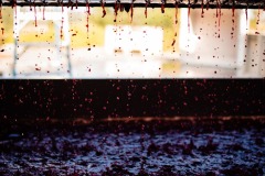 amador-events-big-crush-wine