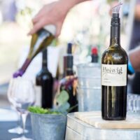 Amador County Wineries | Barbera Festival Amador Wine Country