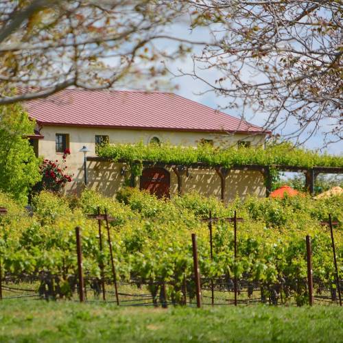 cooper vineyards winery