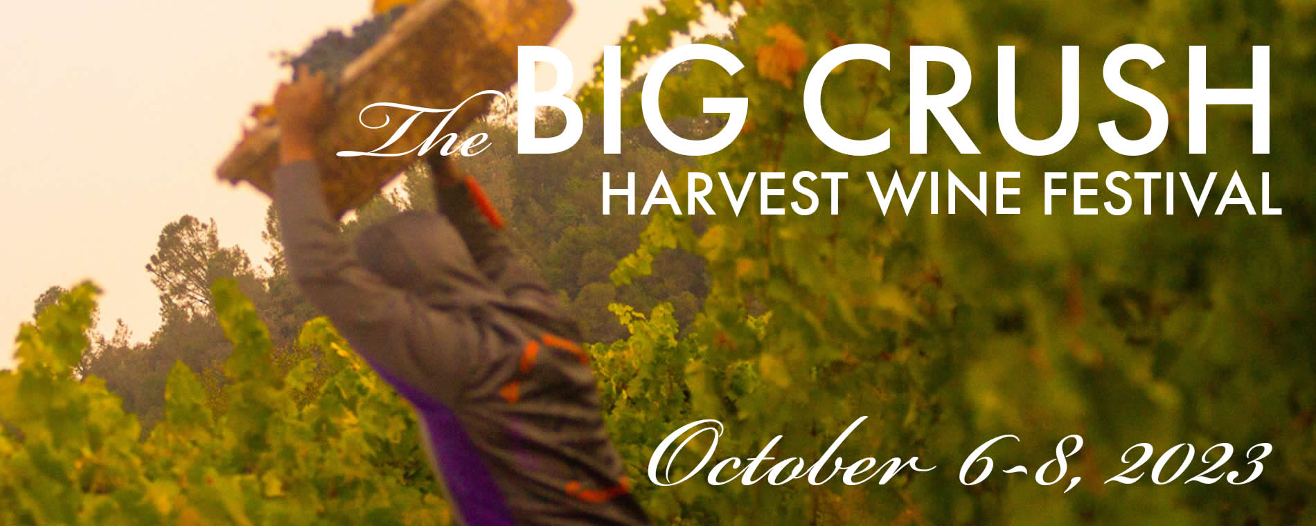 Amador Wine Event Big Crush Harvest Wine Festival Amador Wine Country