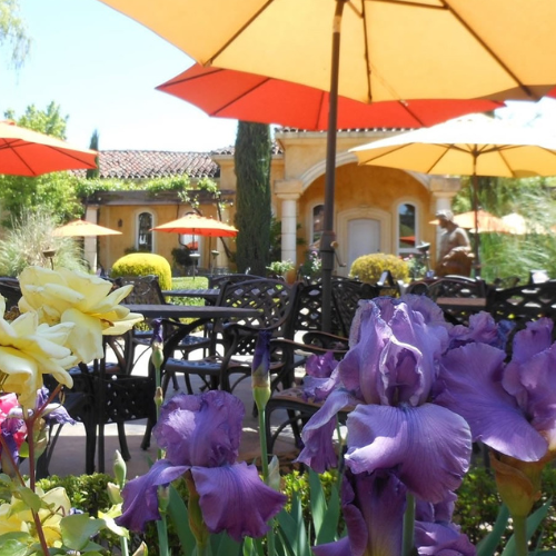 Villa Toscano Outdoor Villa-Toscano-Outdoor