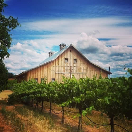 amador cellars